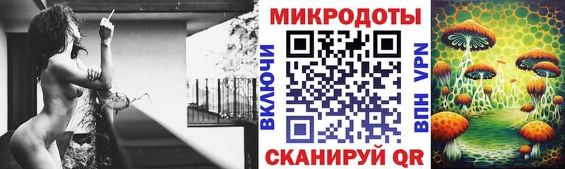 цены наркотик  Бутурлиновка  Псилоцибиновые грибы Cubensis 